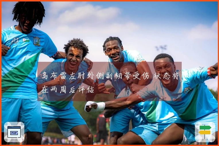 乌布雷左肘外侧副韧带受伤 状态将在两周后评估