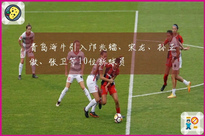 青岛海牛引入邝兆镭、宋龙、孙正傲、张卫等10位新球员