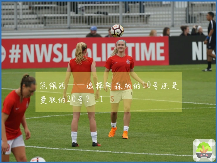 范佩西——选择阿森纳的10号还是曼联的20号？_1