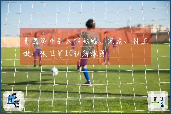 青岛海牛引入邝兆镭、宋龙、孙正傲、张卫等10位新球员