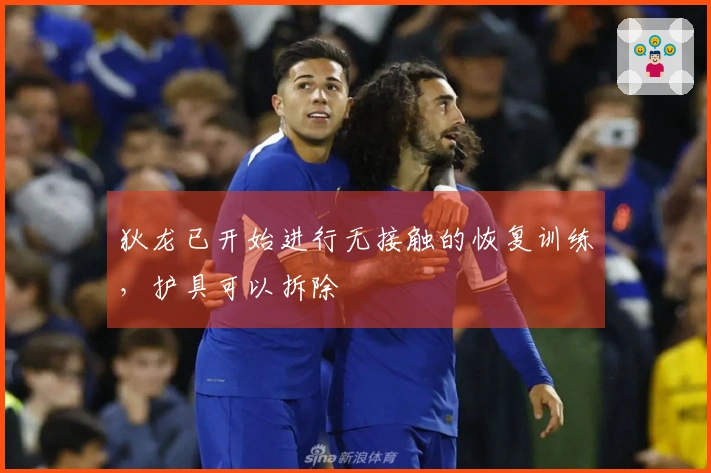 狄龙已开始进行无接触的恢复训练，护具可以拆除